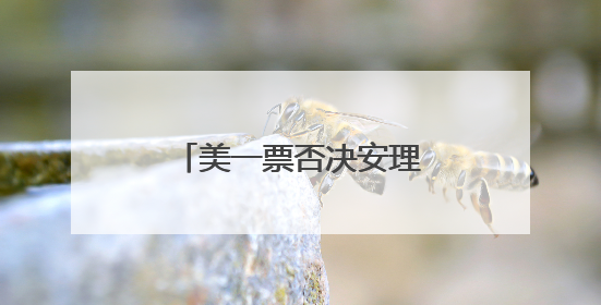 美一票否决安理会加沙决议草案 伊朗强烈谴责