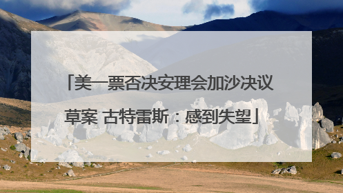 美一票否决安理会加沙决议草案 古特雷斯：感到失望