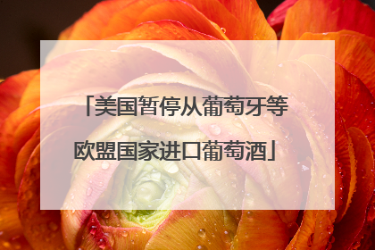 美国暂停从葡萄牙等欧盟国家进口葡萄酒