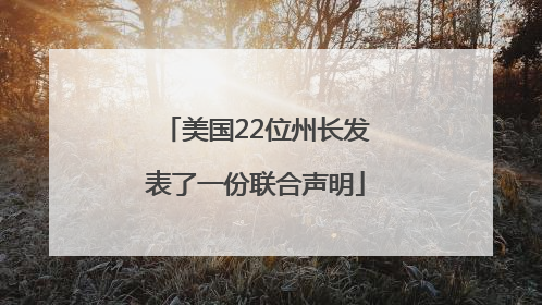 美国22位州长发表了一份联合声明