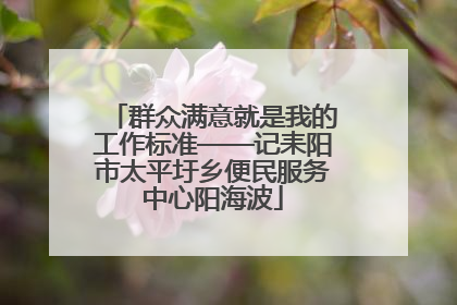 群众满意就是我的工作标准——记耒阳市太平圩乡便民服务中心阳海波