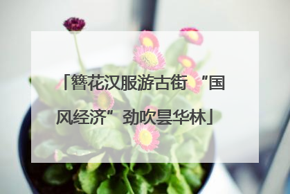 簪花汉服游古街 “国风经济”劲吹昙华林