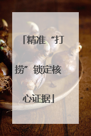 精准“打捞”锁定核心证据