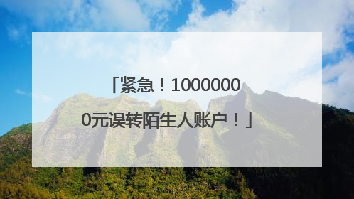紧急！10000000元误转陌生人账户！