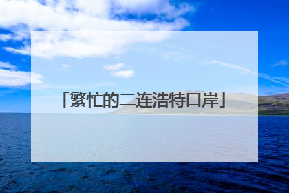 繁忙的二连浩特口岸