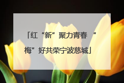 红“新”聚力青春 “梅”好共荣宁波慈城