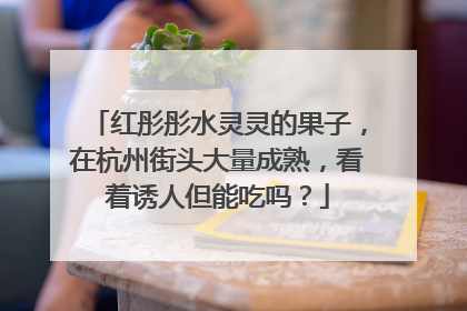 红彤彤水灵灵的果子，在杭州街头大量成熟，看着诱人但能吃吗？