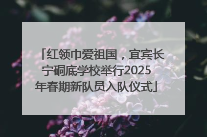 红领巾爱祖国，宜宾长宁硐底学校举行2025年春期新队员入队仪式