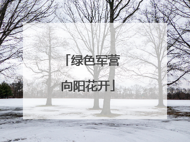绿色军营 向阳花开