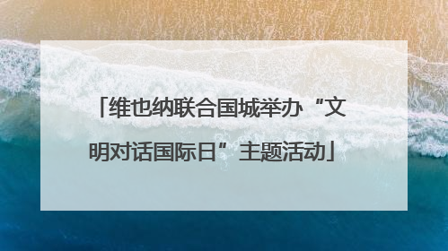 维也纳联合国城举办“文明对话国际日”主题活动