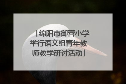 绵阳市御营小学举行语文组青年教师教学研讨活动