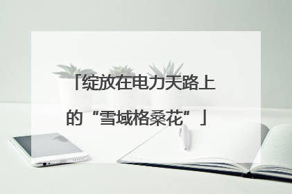 绽放在电力天路上的“雪域格桑花”