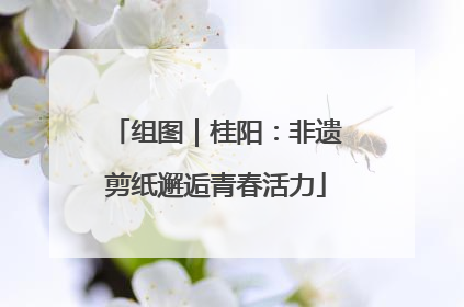 组图｜桂阳：非遗剪纸邂逅青春活力