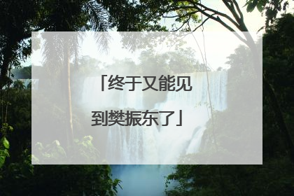 终于又能见到樊振东了