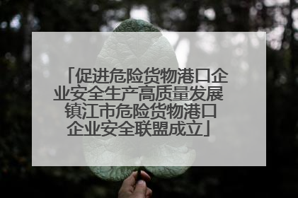 促进危险货物港口企业安全生产高质量发展 镇江市危险货物港口企业安全联盟成立