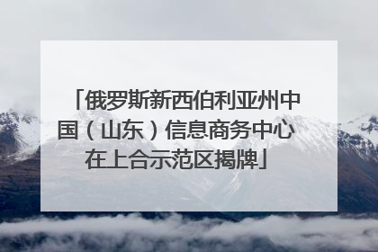 俄罗斯新西伯利亚州中国（山东）信息商务中心在上合示范区揭牌