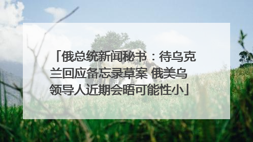 俄总统新闻秘书：待乌克兰回应备忘录草案 俄美乌领导人近期会晤可能性小