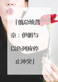 俄总统普京：伊朗与以色列应停止冲突