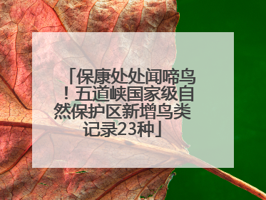 保康处处闻啼鸟！五道峡国家级自然保护区新增鸟类记录23种