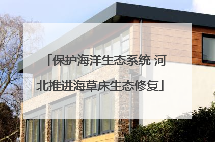 保护海洋生态系统 河北推进海草床生态修复