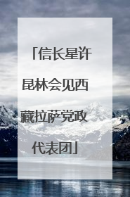 信长星许昆林会见西藏拉萨党政代表团