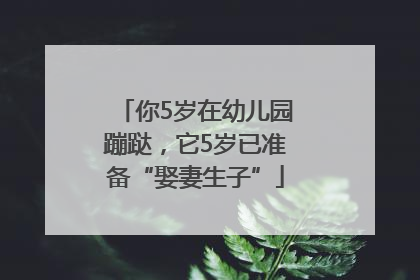 你5岁在幼儿园蹦跶，它5岁已准备“娶妻生子”