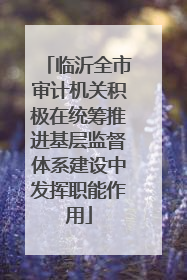 临沂全市审计机关积极在统筹推进基层监督体系建设中发挥职能作用