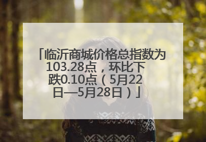 临沂商城价格总指数为103.28点，环比下跌0.10点（5月22日—5月28日）