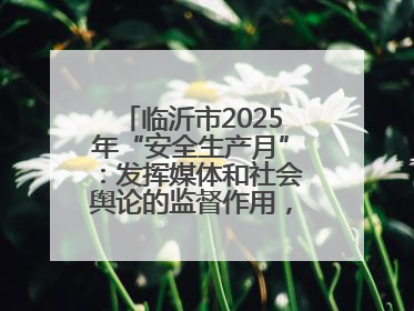 临沂市2025年“安全生产月”：发挥媒体和社会舆论的监督作用，及时发现并消除安全隐患