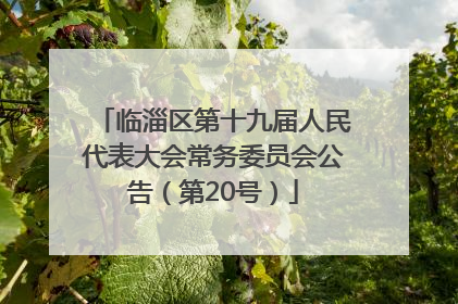 临淄区第十九届人民代表大会常务委员会公告（第20号）