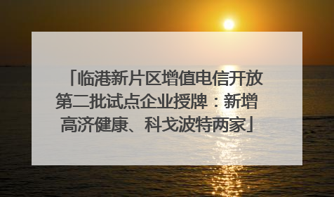 临港新片区增值电信开放第二批试点企业授牌：新增高济健康、科戈波特两家