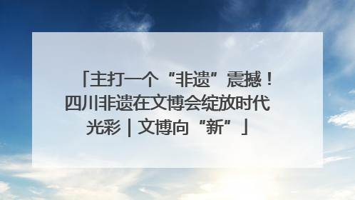 主打一个“非遗”震撼！四川非遗在文博会绽放时代光彩｜文博向“新”