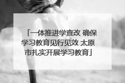一体推进学查改 确保学习教育见行见效 太原市扎实开展学习教育