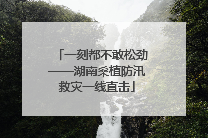 一刻都不敢松劲——湖南桑植防汛救灾一线直击