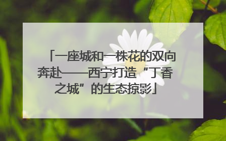 一座城和一株花的双向奔赴——西宁打造“丁香之城”的生态掠影