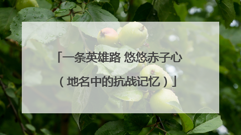 一条英雄路 悠悠赤子心（地名中的抗战记忆）