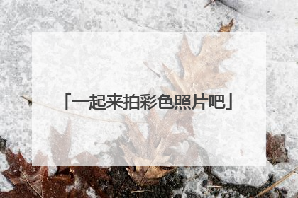一起来拍彩色照片吧