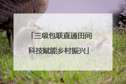 三级包联直通田间 科技赋能乡村振兴