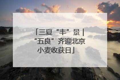 三夏“丰”景｜“五良”齐迎北京小麦收获日