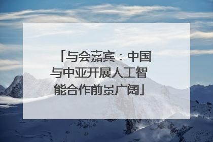 与会嘉宾：中国与中亚开展人工智能合作前景广阔
