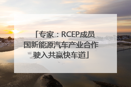 专家：RCEP成员国新能源汽车产业合作驶入共赢快车道