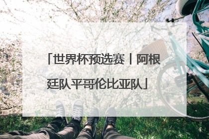 世界杯预选赛丨阿根廷队平哥伦比亚队