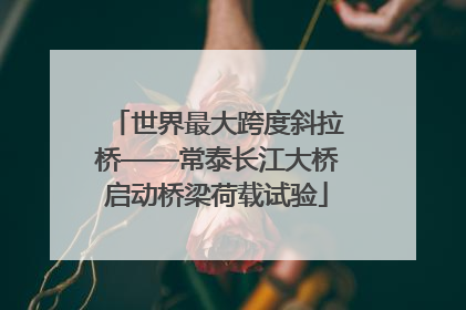世界最大跨度斜拉桥——常泰长江大桥启动桥梁荷载试验