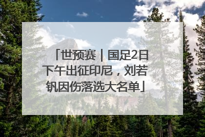 世预赛｜国足2日下午出征印尼，刘若钒因伤落选大名单