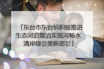 东台市东台镇积极推进生态河道整治实现河畅水清岸绿景美新愿景
