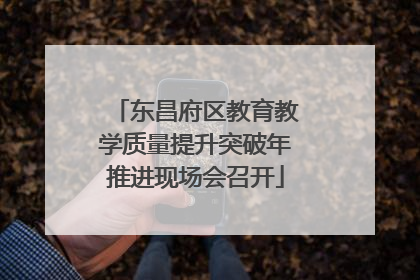 东昌府区教育教学质量提升突破年推进现场会召开