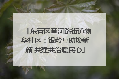 东营区黄河路街道物华社区：银龄互助焕新颜 共建共治暖民心