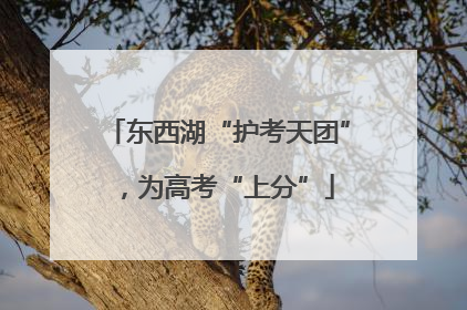 东西湖“护考天团”，为高考“上分”