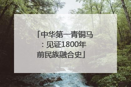 中华第一青铜马：见证1800年前民族融合史