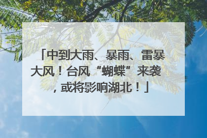 中到大雨、暴雨、雷暴大风！台风“蝴蝶”来袭，或将影响湖北！